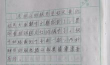 初二写景作文：故乡赞_1200字