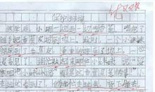 关于保护环境的作文：争做环保小卫士_200字
