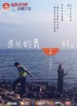 失落的美丽_1500字