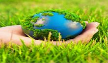 保护环境，让我们从身边的细节做起吧！_500字