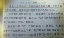 关于雪的作文：雪，美妙的启示_600字