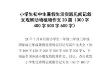 “兵不厌诈”_500字