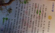 钓鱼的启示_550字