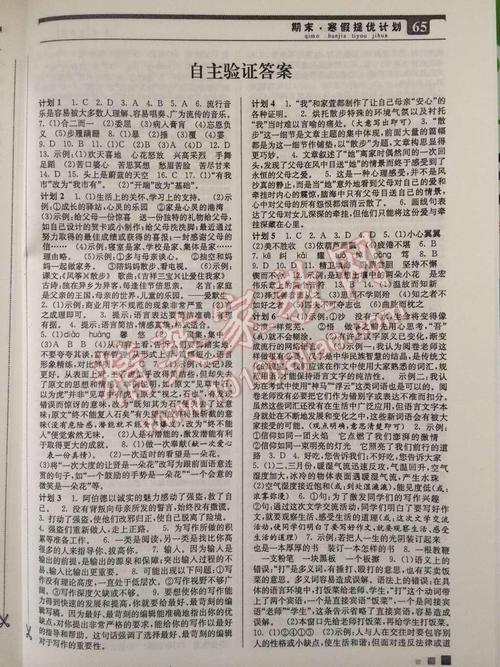 八年级寒假计划组成：寒假想像曲_600字