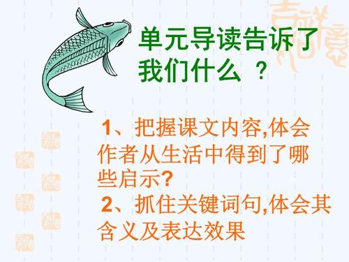 钓鱼的灵感_800字