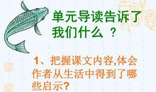 钓鱼的启示_800字