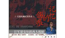 记忆的伤痕_900字