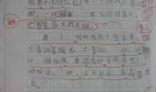 关于动物的作文：选择沐浴阳光的鱼_800字