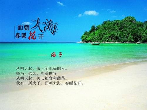 面对大海，春天的花朵绽放_800字