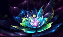 美丽地绽放_900字