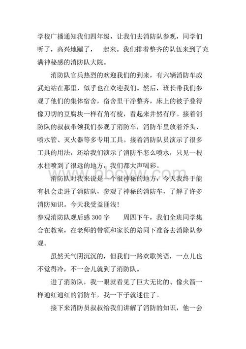 参观云翔桥_300字