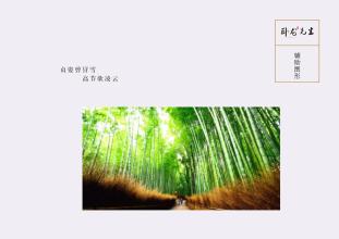 想象一下“卧龙先生” _800字