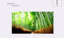 畅想“卧龙先生”_800字