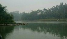 寸金桥的风光_450字