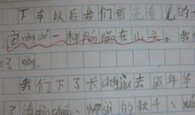 初三日记：充实的周末_400字