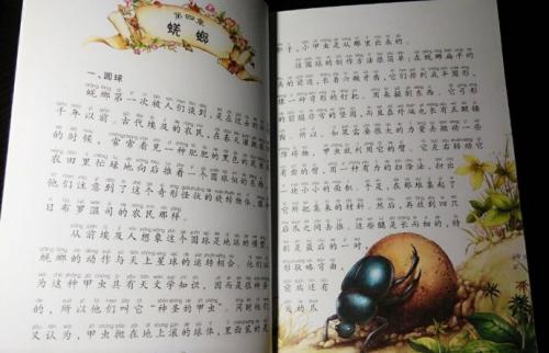 三年级的思考：“学看医生” _500字
