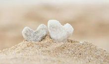 青春的恋歌_550字