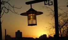 妈妈的背影_600字