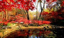 栖霞山一游_700字