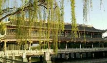 [原创达人] 云中之美_750字