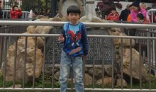 游中山公园_350字