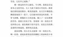 关于小雪的作文：小雪_800字