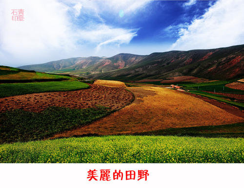 游览美丽的田野_350字
