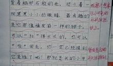关于动物的作文：勇敢的小鲤鱼_600字