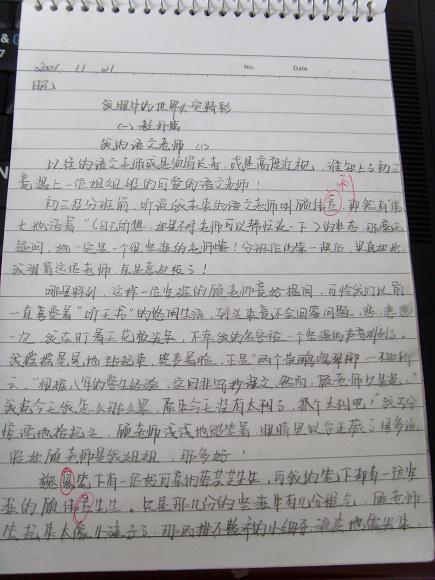 三年级日记：成为母亲的经验_650字