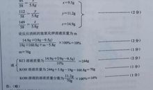 初一说明文：酸甜国民汤_800字