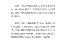 我的小乌龟_1200字