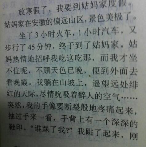 高中入学作文复习_800字
