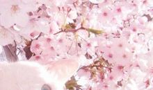 做自己的英雄_750字