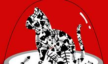 要善待生命_500字