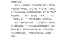 初一状物作文：家乡的铜鹅_700字