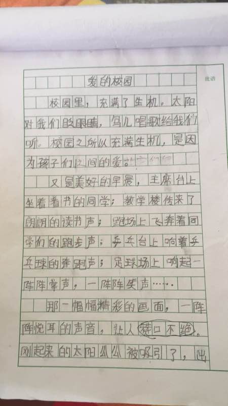 五年级风光作文：樱花赞_1500字