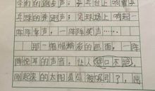 五年级写景作文：樱花赞_1500字