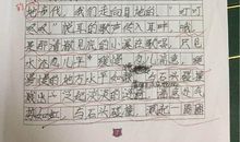 五年级写景作文：武夷山_650字