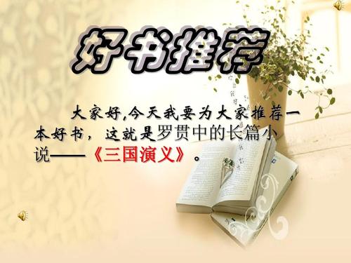 关于罗关中与三国志_700字