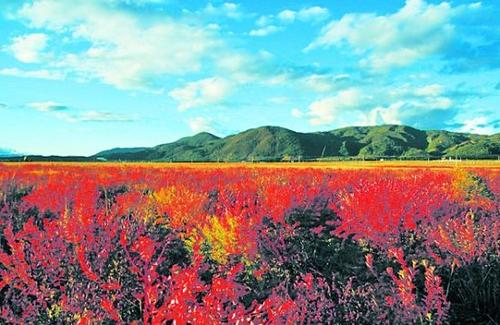 华丽的四个季节，最美丽的秋天风景_1200字