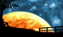 星空让我陶醉_250字