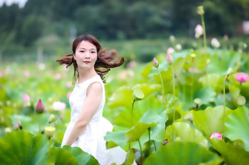 飞花季_600字