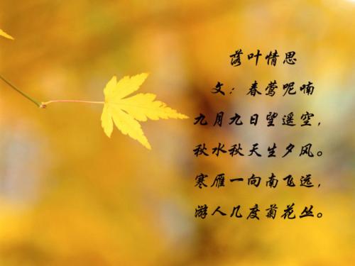 给自己留一些落叶_650个单词