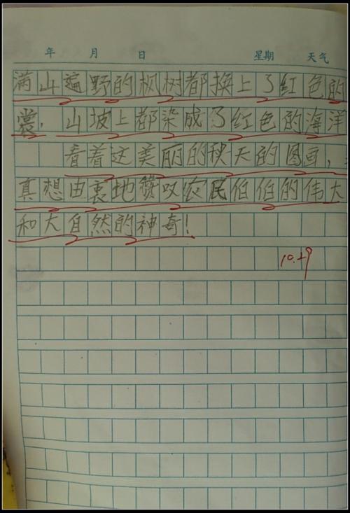 一年级写作作文：我爱你，兄弟_1200字