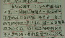 关于奥运的作文：你已跨过那道栏_700字