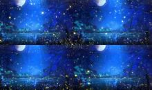 初一小说：星星和萤火虫_2000字