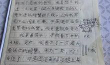 初一状物作文：无怨无悔的飘落_750字