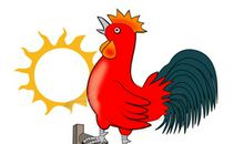 [PK赛]关于发现的作文：我发现大公鸡_450字