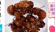 金蝉破蛹_1000字