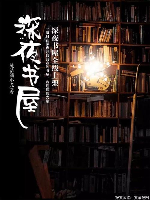 一年级解释性论文：一种新型的共享书店，共800个字